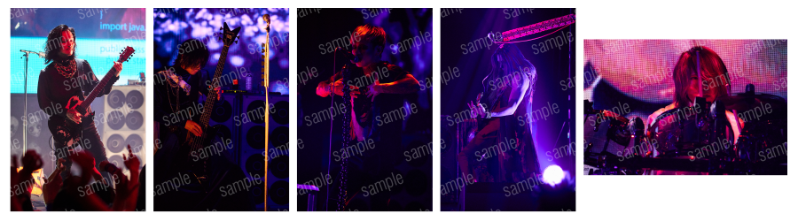 DIR EN GREY　ガチャチケット